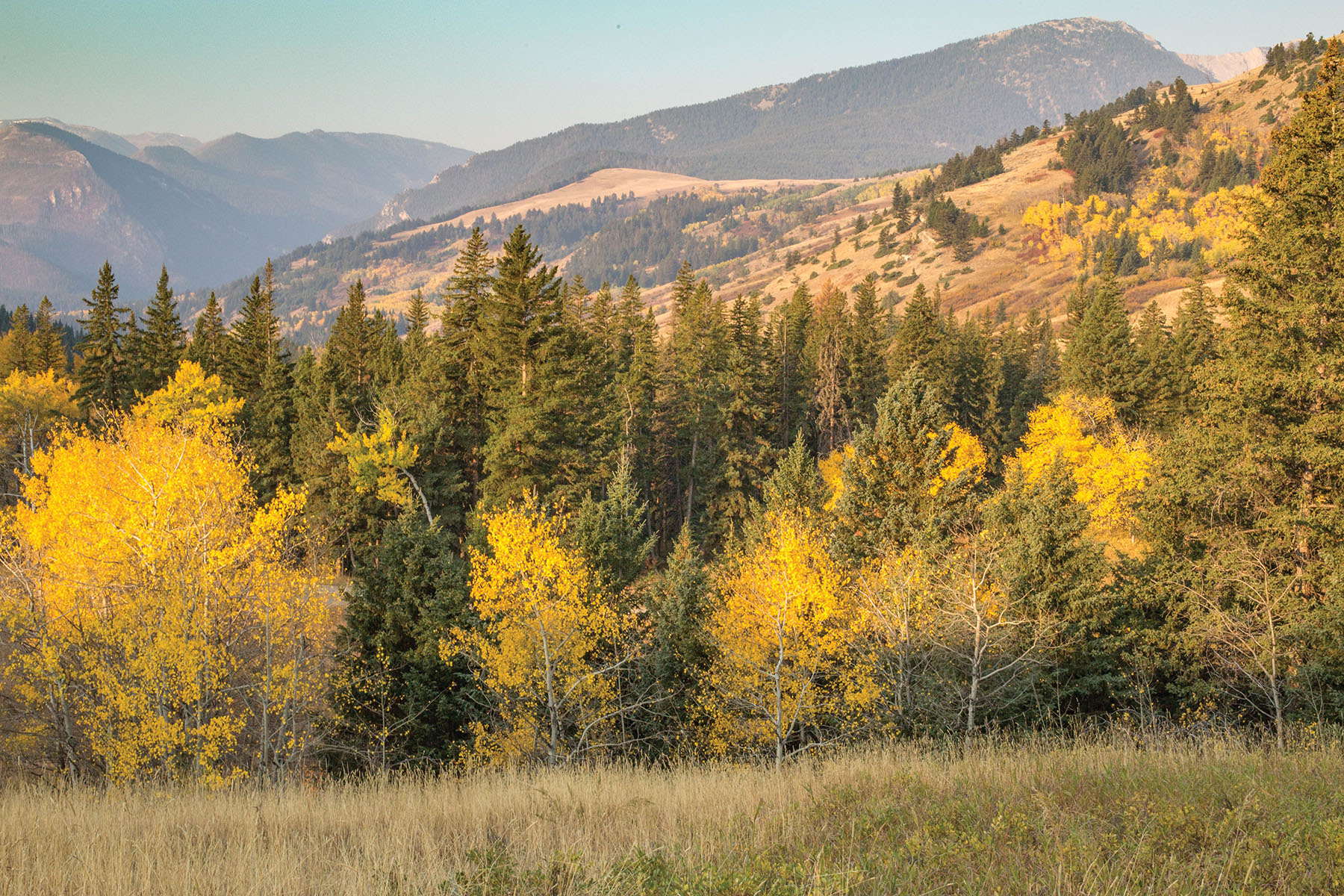 West Boulder Reserve Lot 14 Sold Montana Hall and Hall