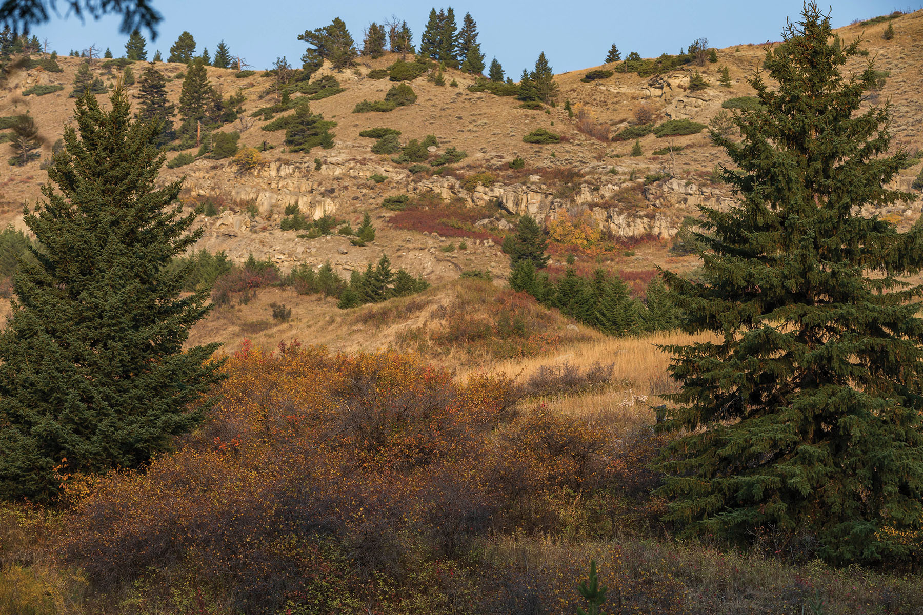 West Boulder Reserve Lot 14 Sold Montana Hall and Hall