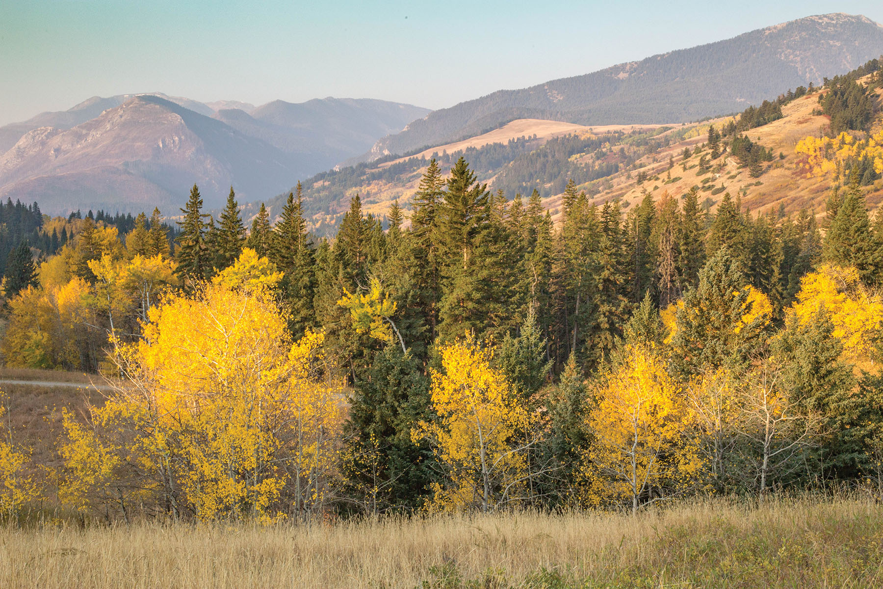 West Boulder Reserve Lot 14 Sold Montana Hall and Hall