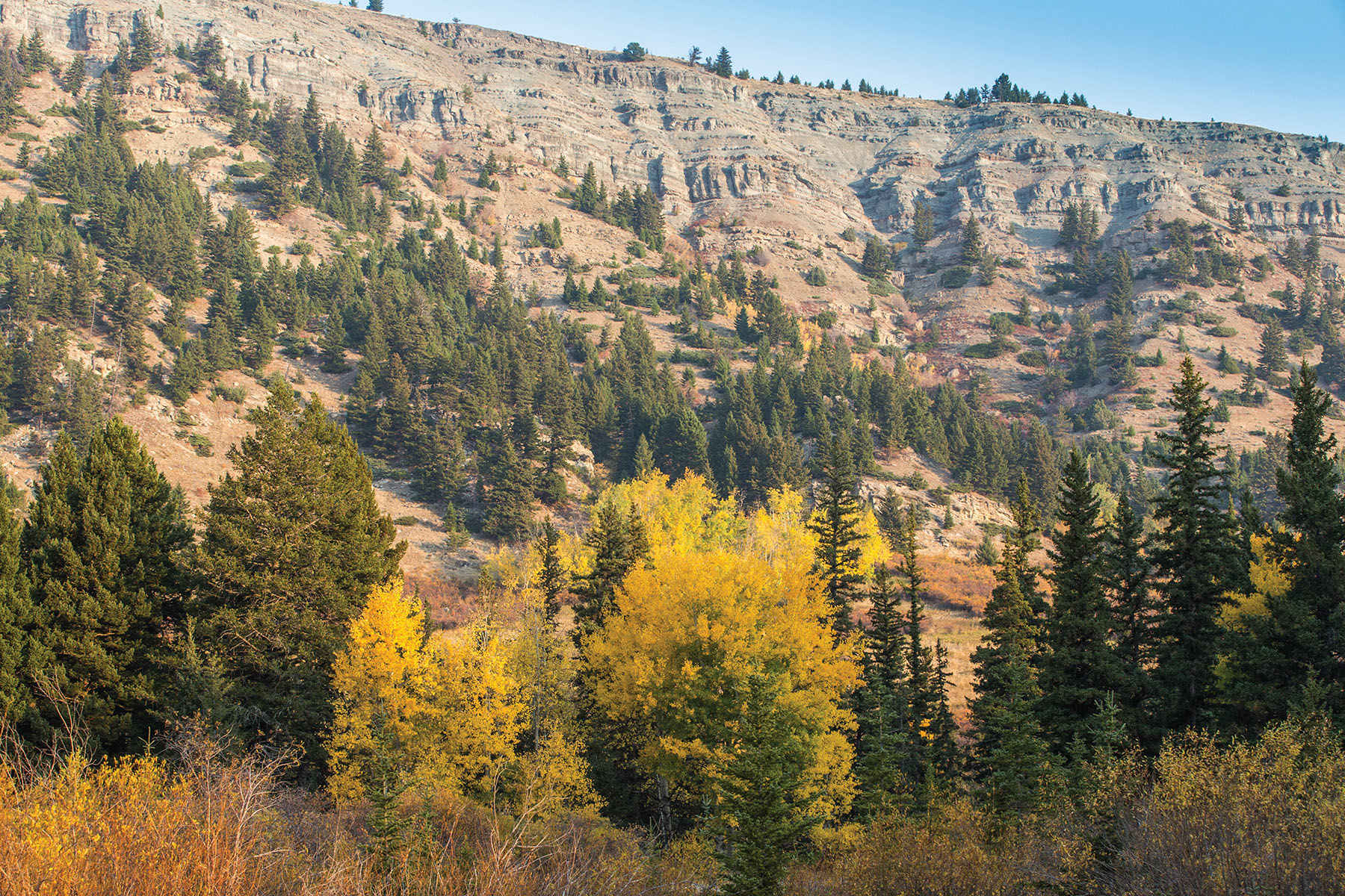 West Boulder Reserve Lot 14 Sold Montana Hall and Hall