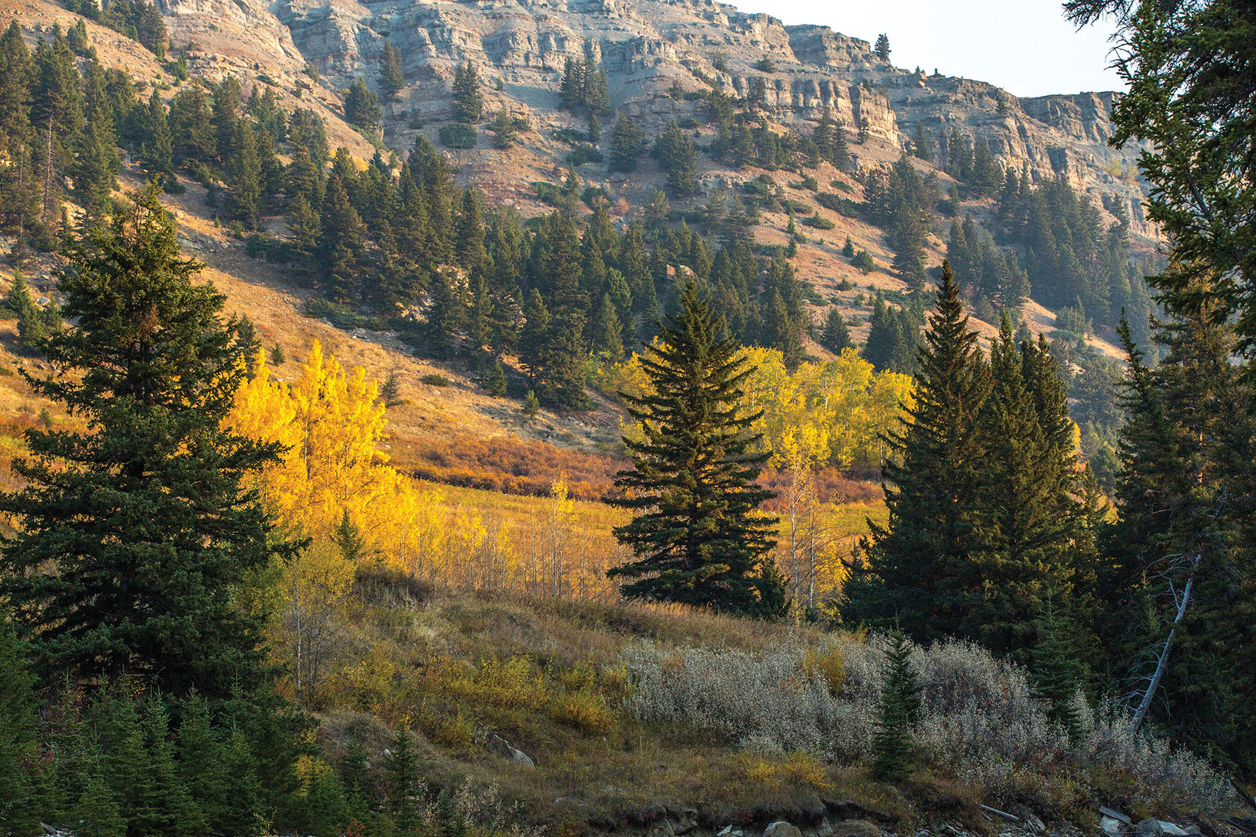 West Boulder Reserve Lot 14 Sold Montana Hall and Hall