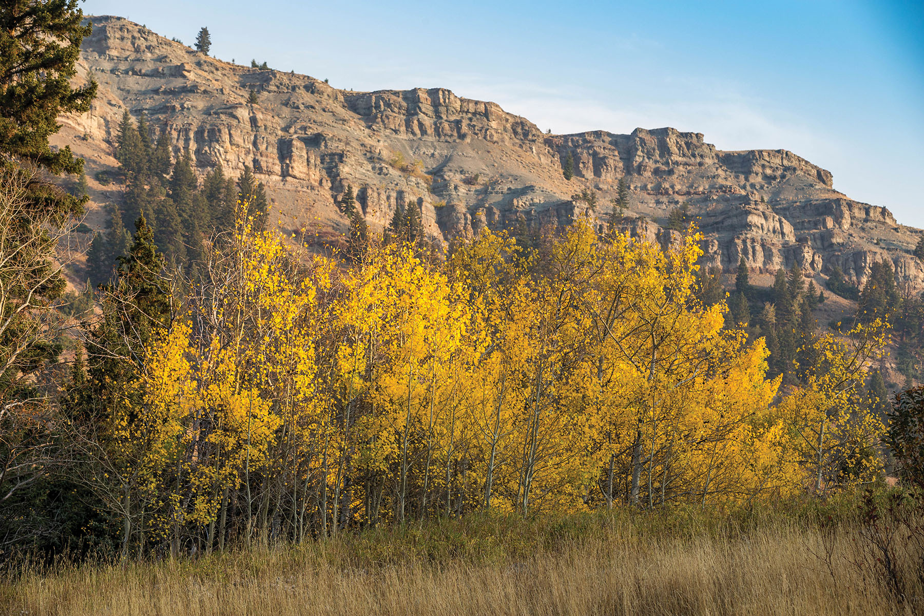 West Boulder Reserve Lot 14 Sold Montana Hall and Hall