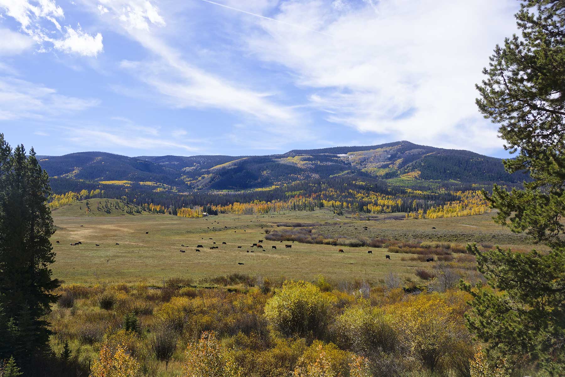 Lost Elk Ranch property picture 10 of 80