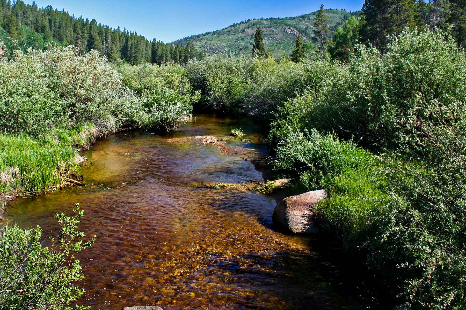 Lost Elk Ranch property picture 3 of 80