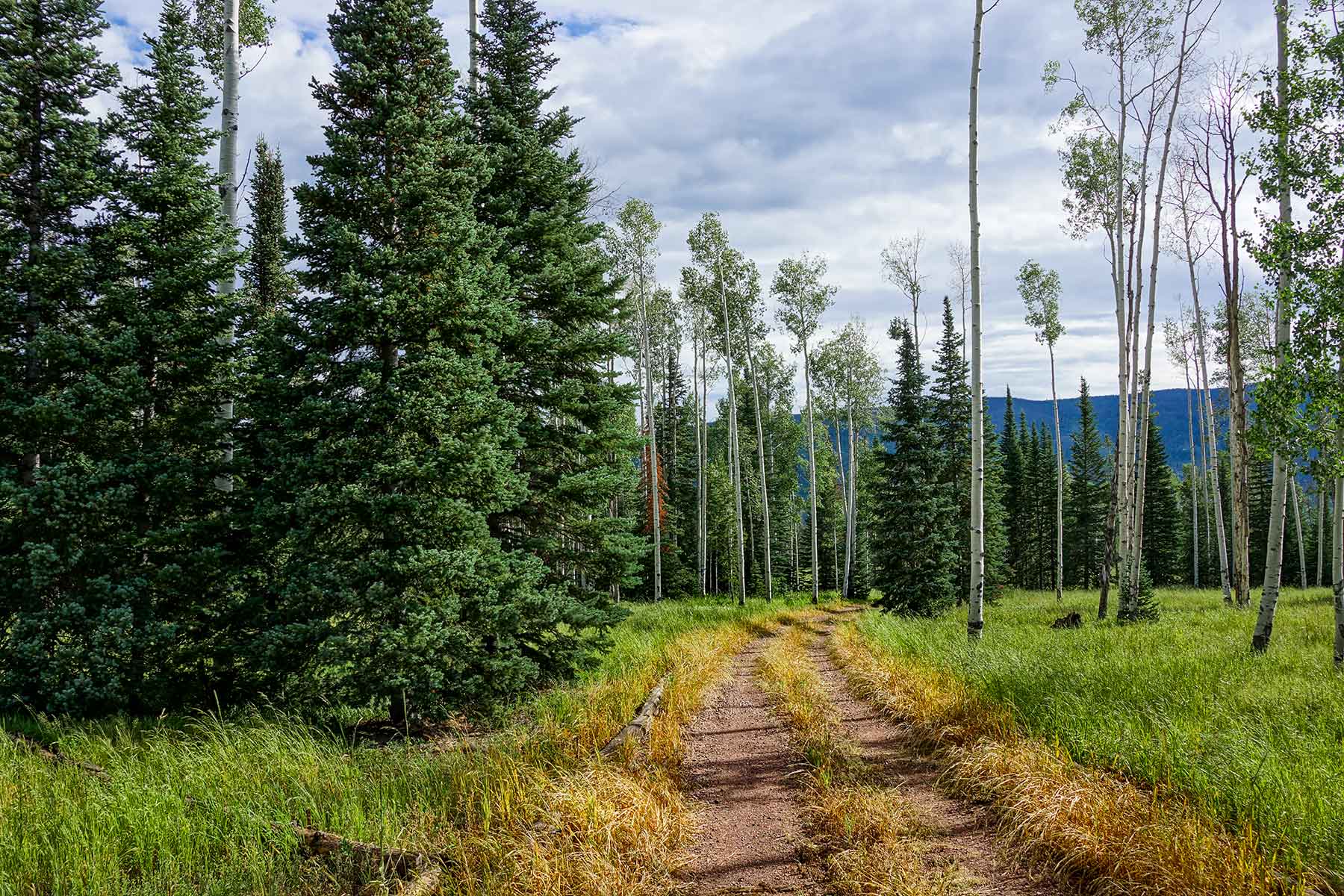 Lost Elk Ranch property picture 77 of 80