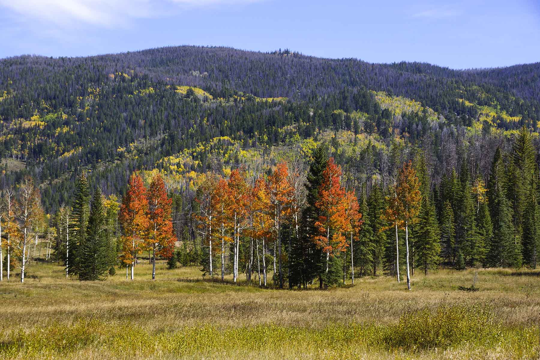 Lost Elk Ranch property picture 65 of 80