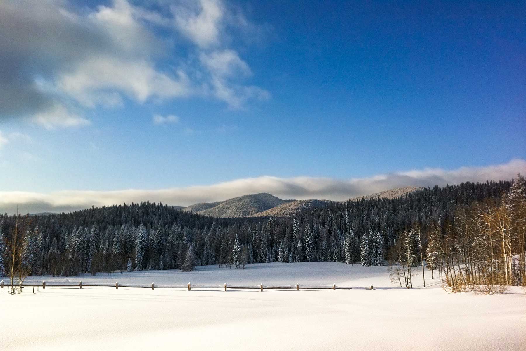 Lost Elk Ranch property picture 20 of 80