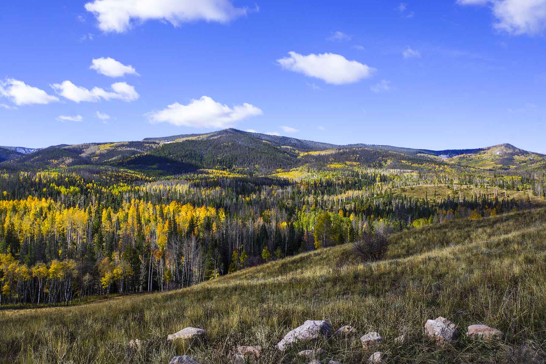 Lost Elk Ranch property picture 28 of 80