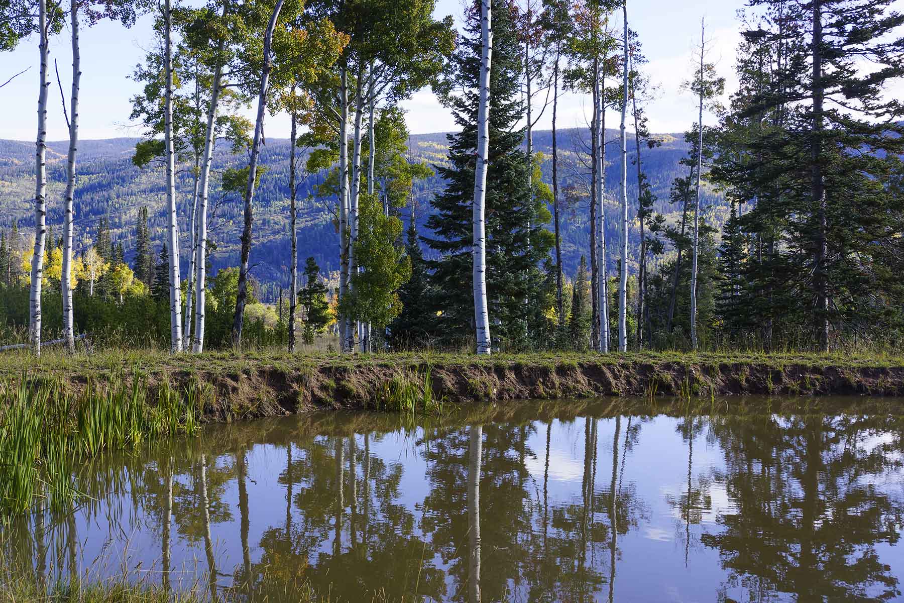 Lost Elk Ranch property picture 64 of 80