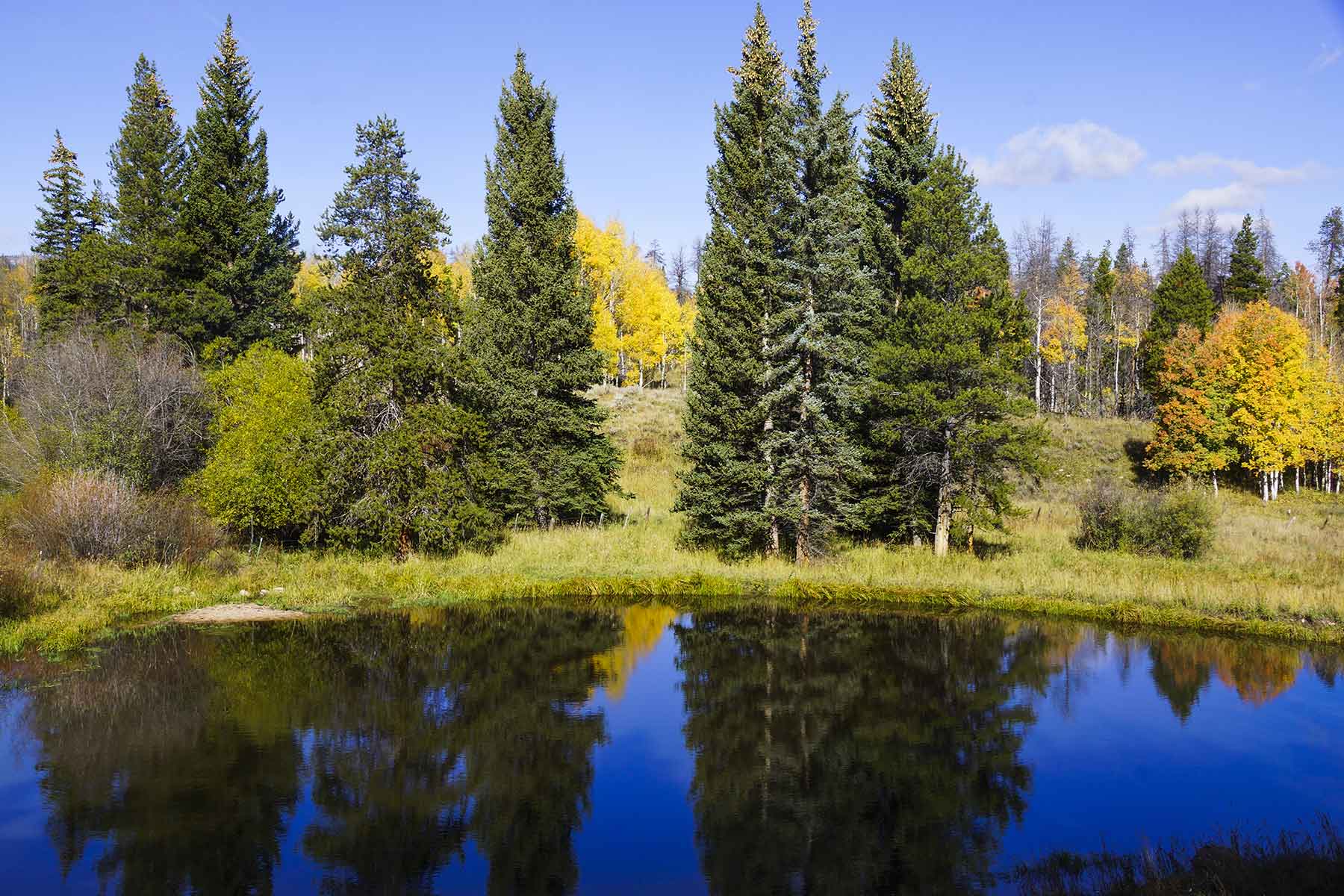 Lost Elk Ranch property picture 11 of 80