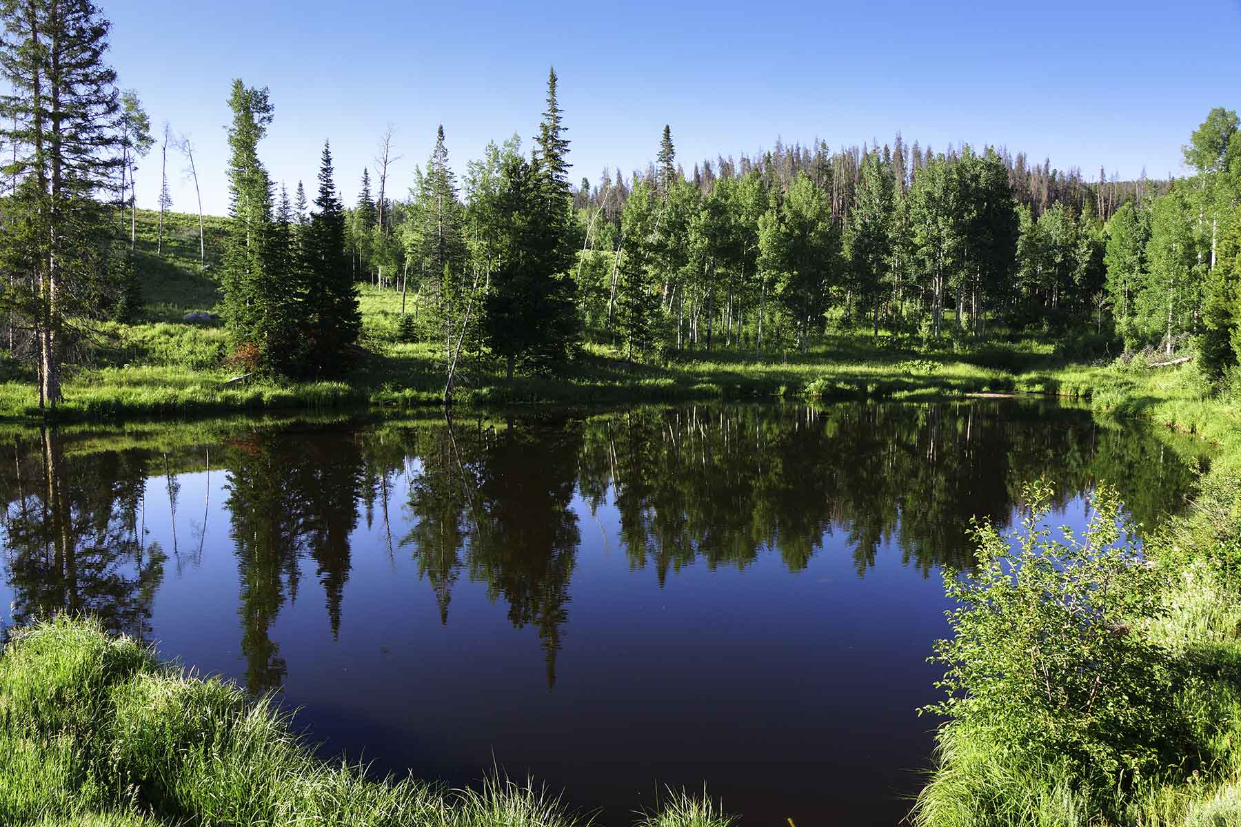 Lost Elk Ranch property picture 8 of 80