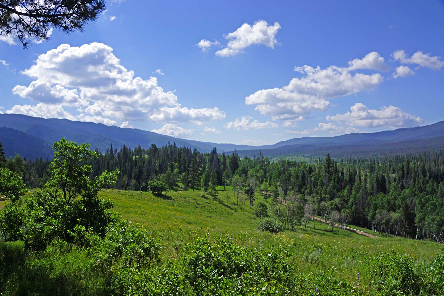 Lost Elk Ranch property picture 79 of 80