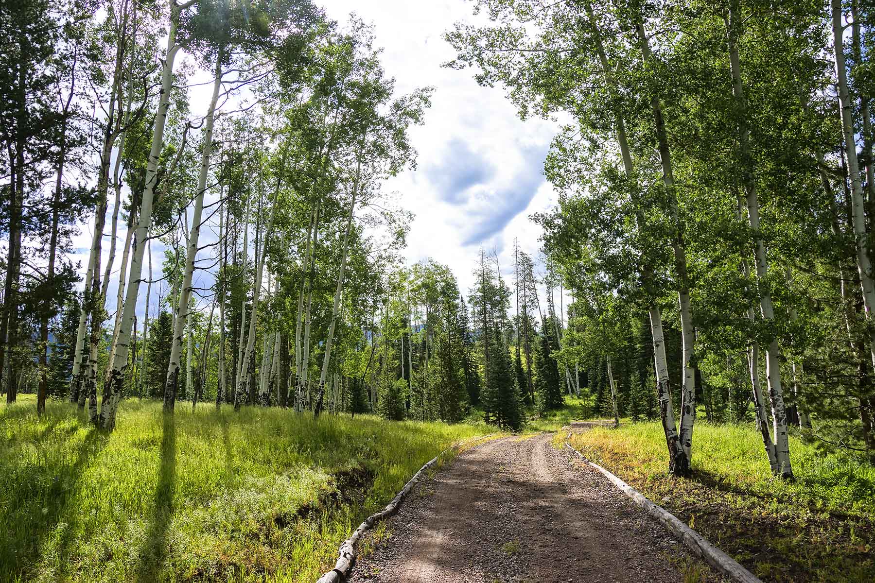 Lost Elk Ranch property picture 27 of 80