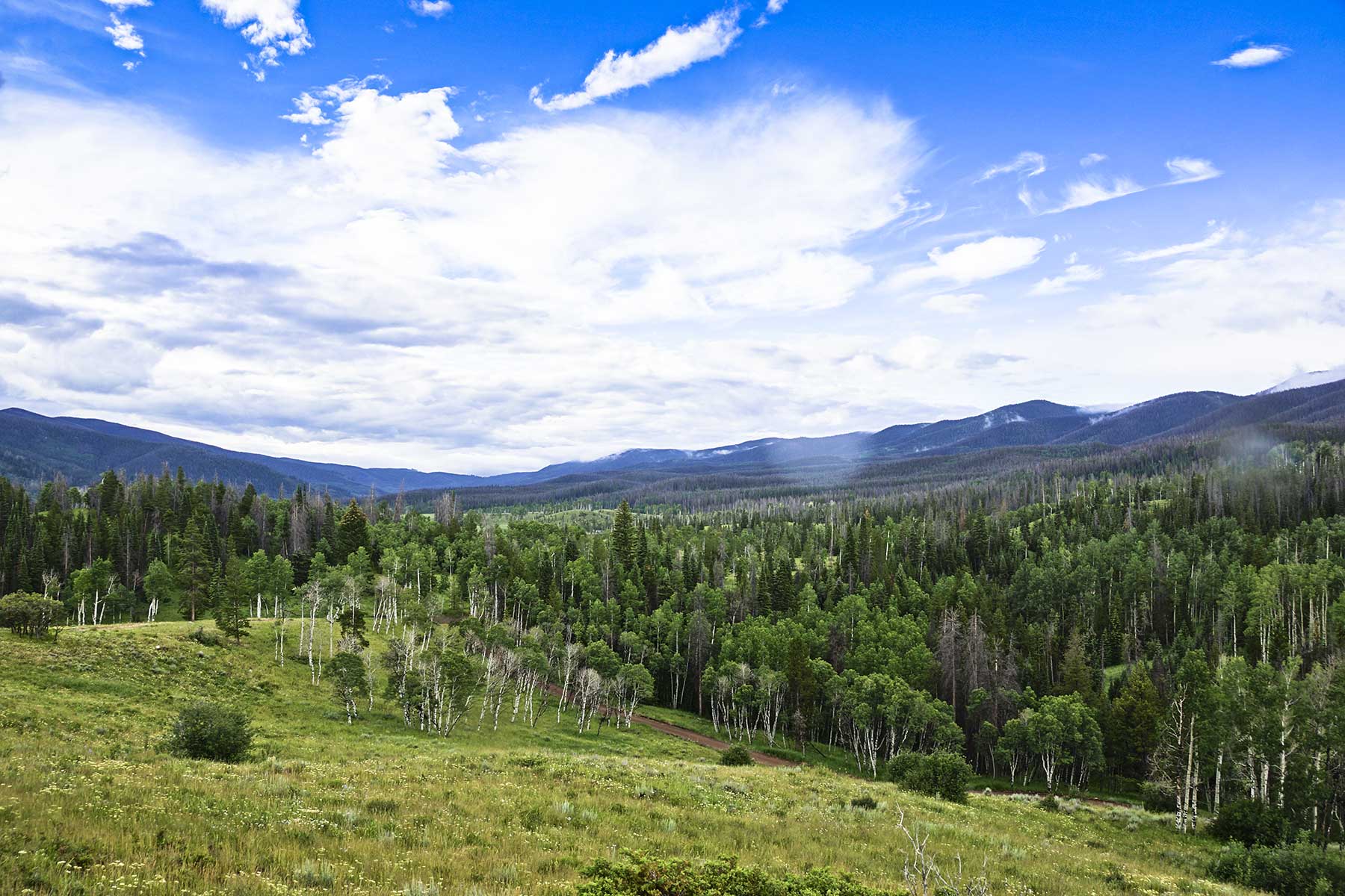 Lost Elk Ranch property picture 26 of 80