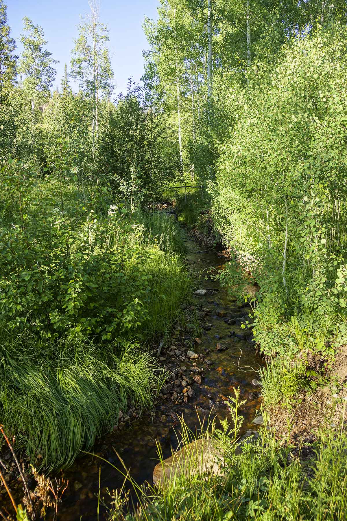 Lost Elk Ranch property picture 78 of 80