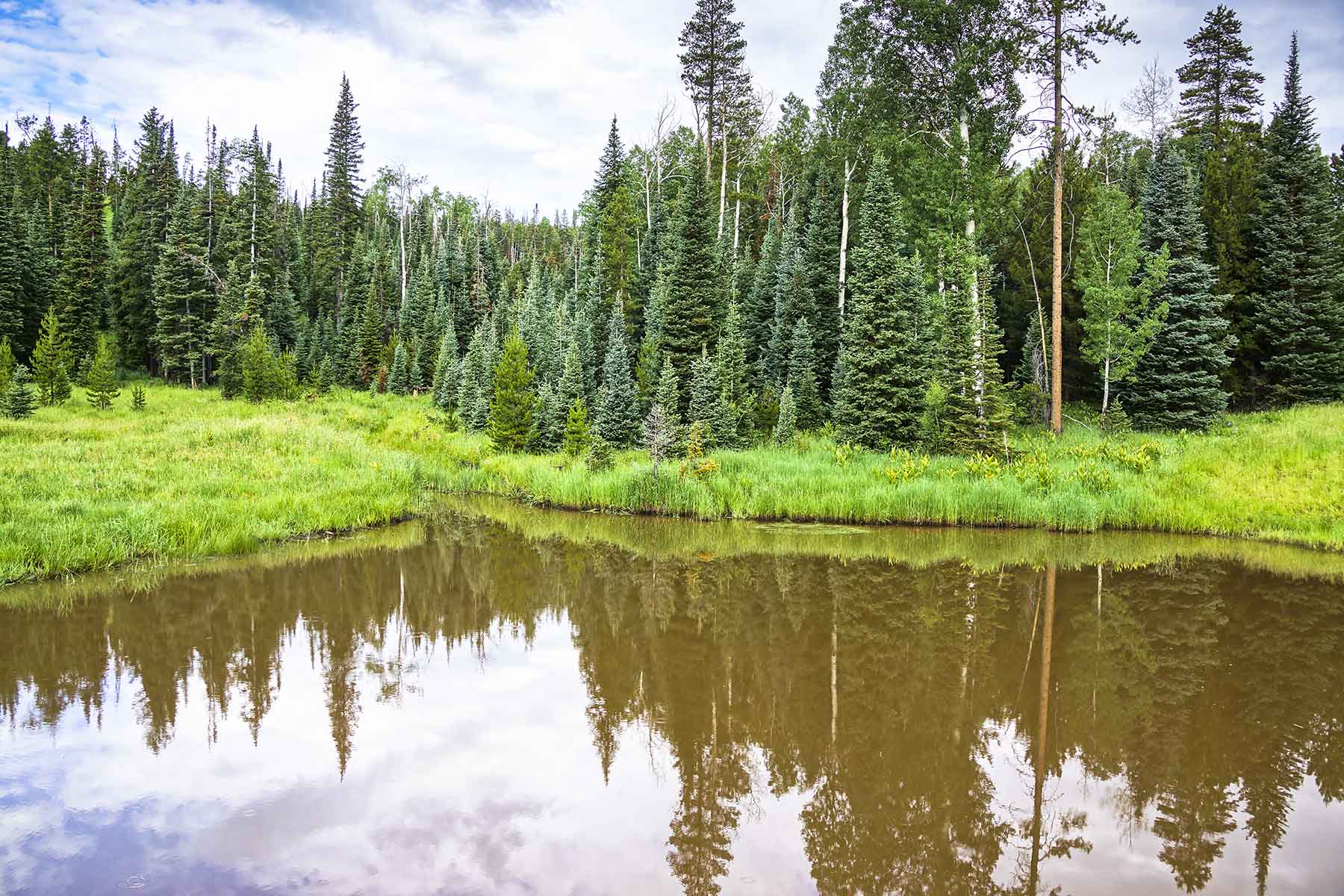 Lost Elk Ranch property picture 74 of 80