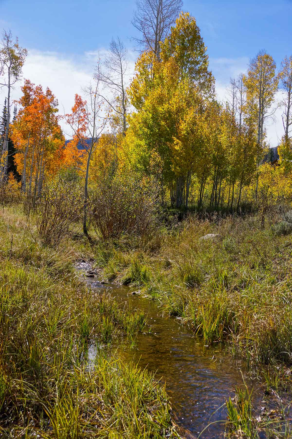 Lost Elk Ranch property picture 66 of 80