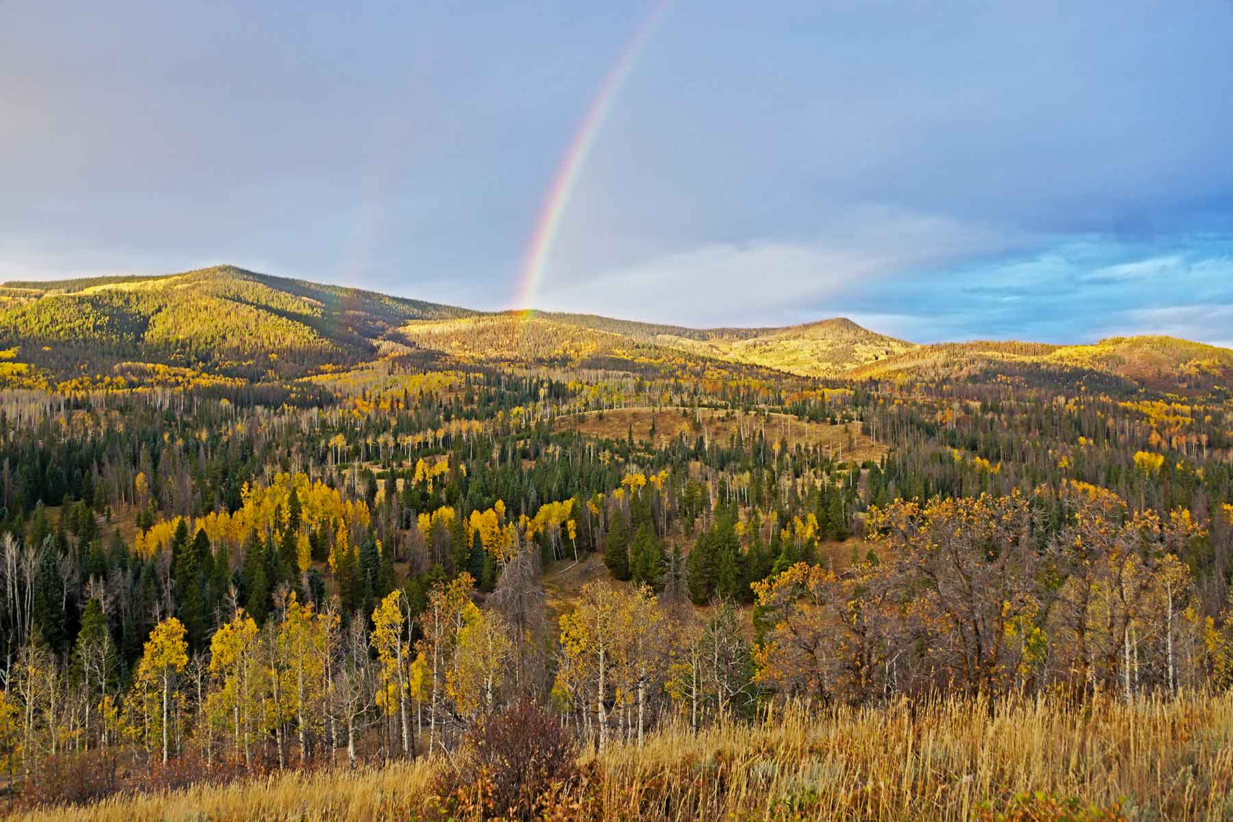 Lost Elk Ranch property picture 15 of 80