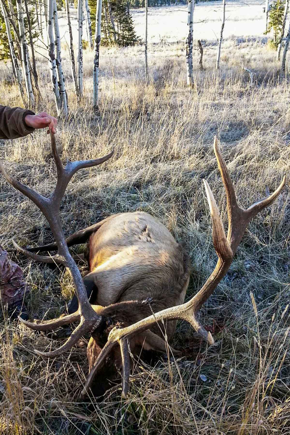 Lost Elk Ranch property picture 5 of 80
