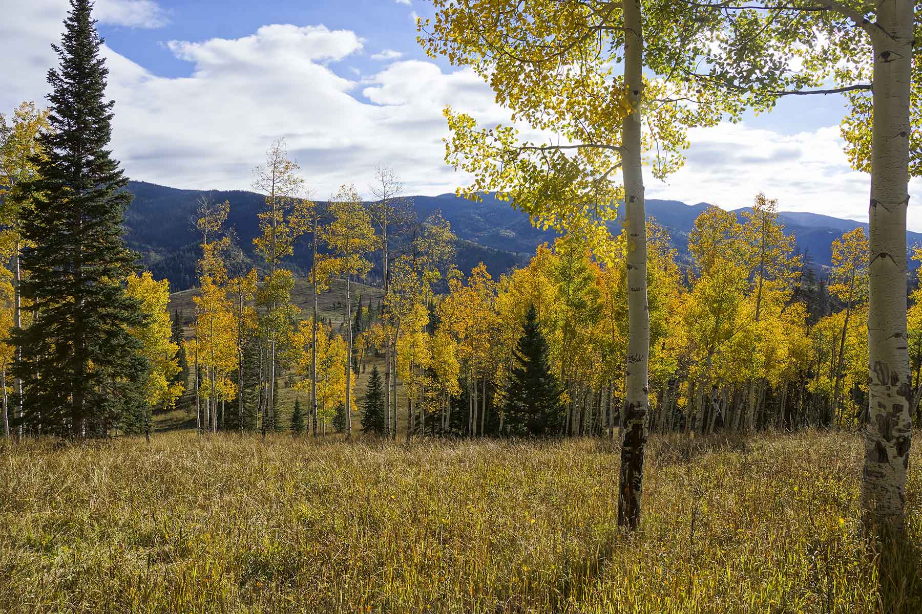 Lost Elk Ranch property picture 21 of 80