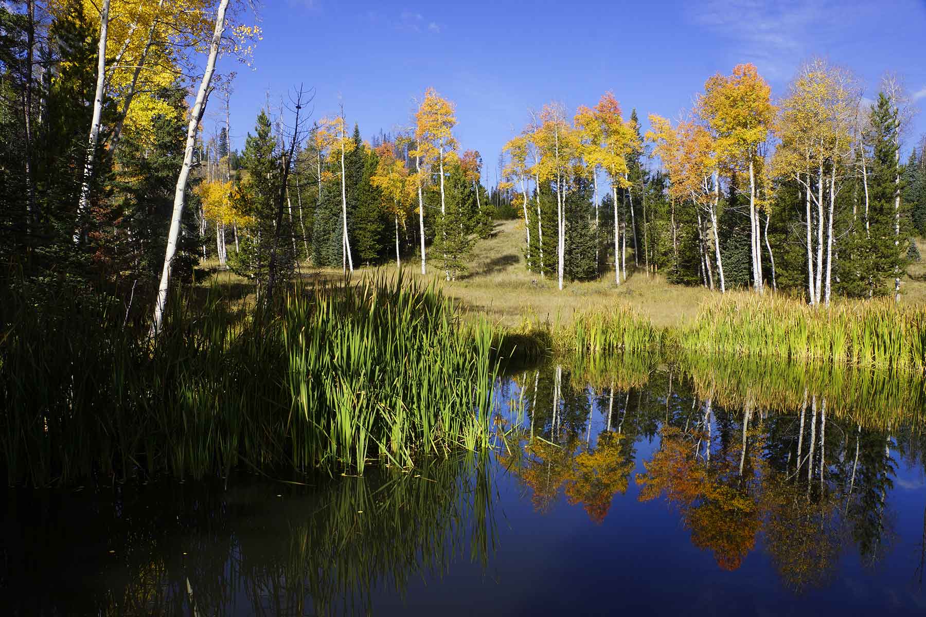 Lost Elk Ranch property picture 30 of 80