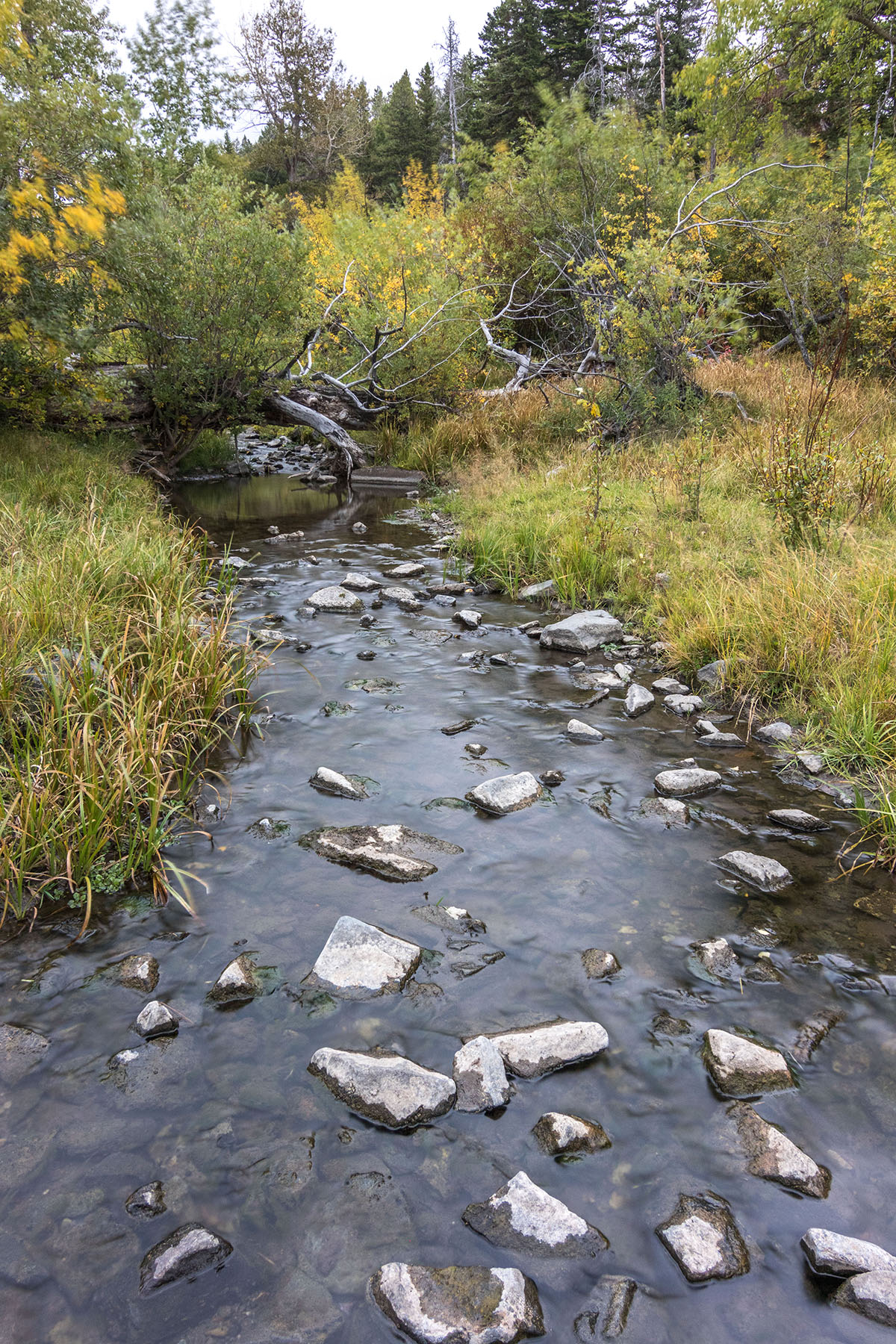 Postill Creek Ranch property picture 7 of 22