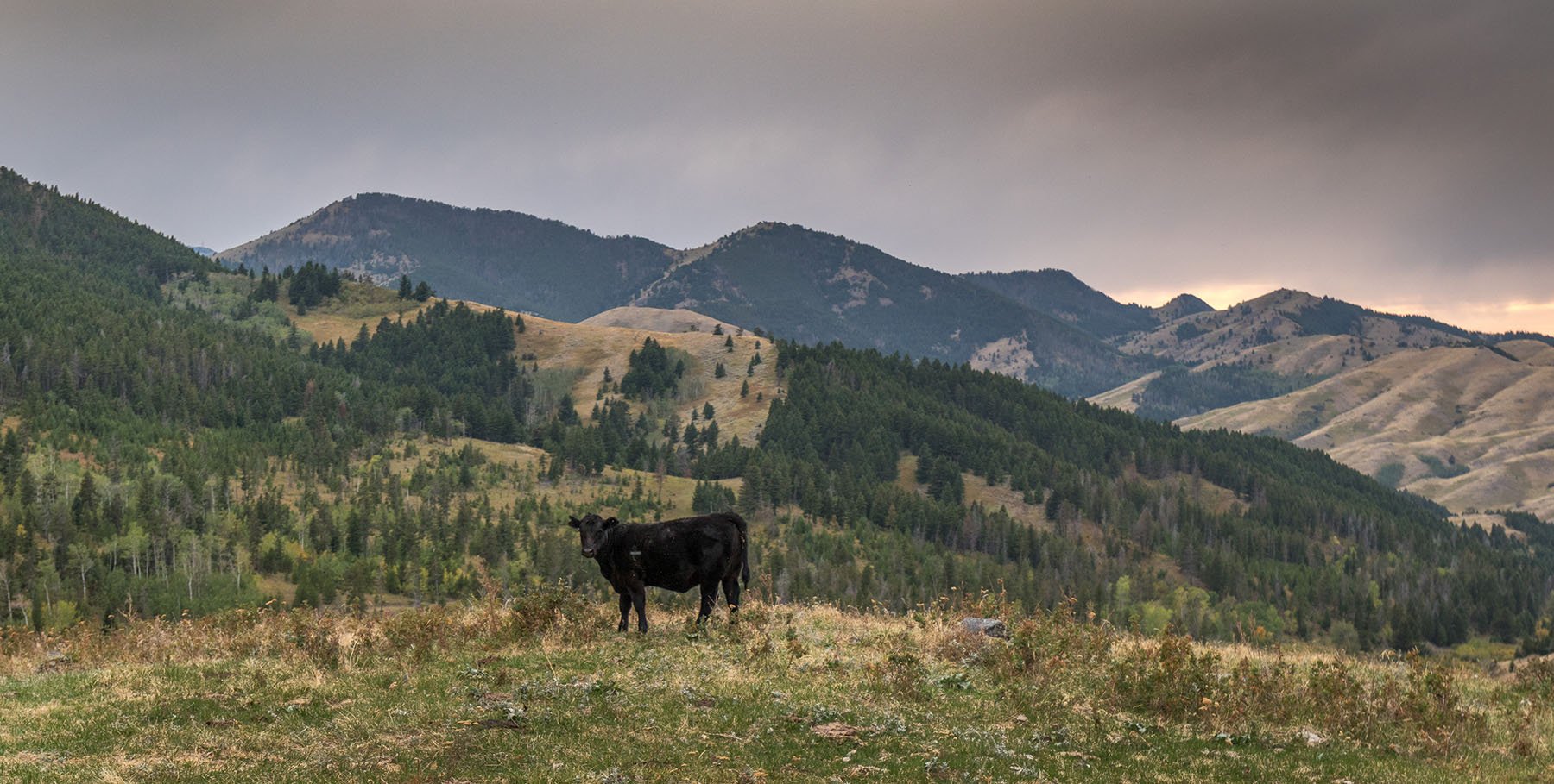 Postill Creek Ranch property picture 22 of 22