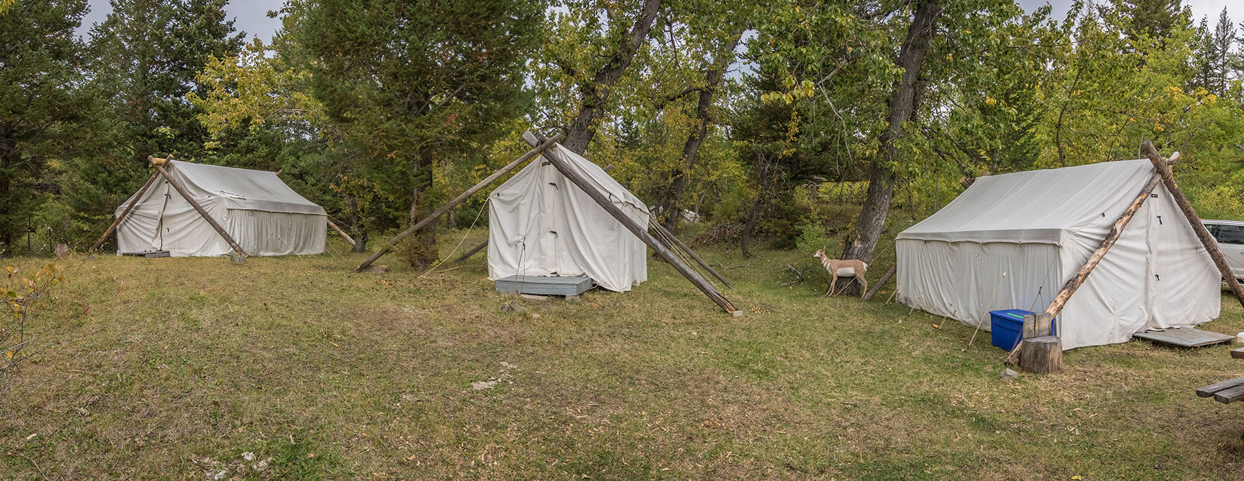 Postill Creek Ranch property picture 15 of 22