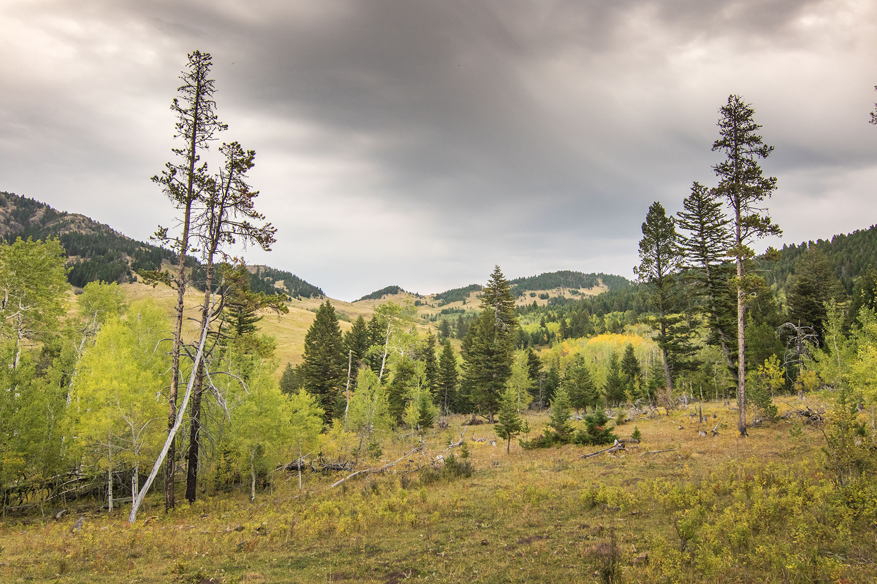 Postill Creek Ranch property picture 3 of 22