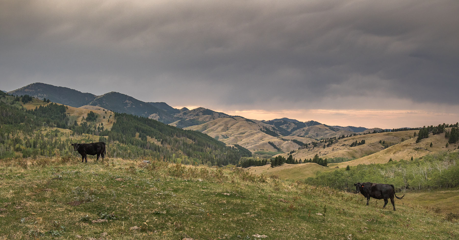 Postill Creek Ranch property picture 5 of 22