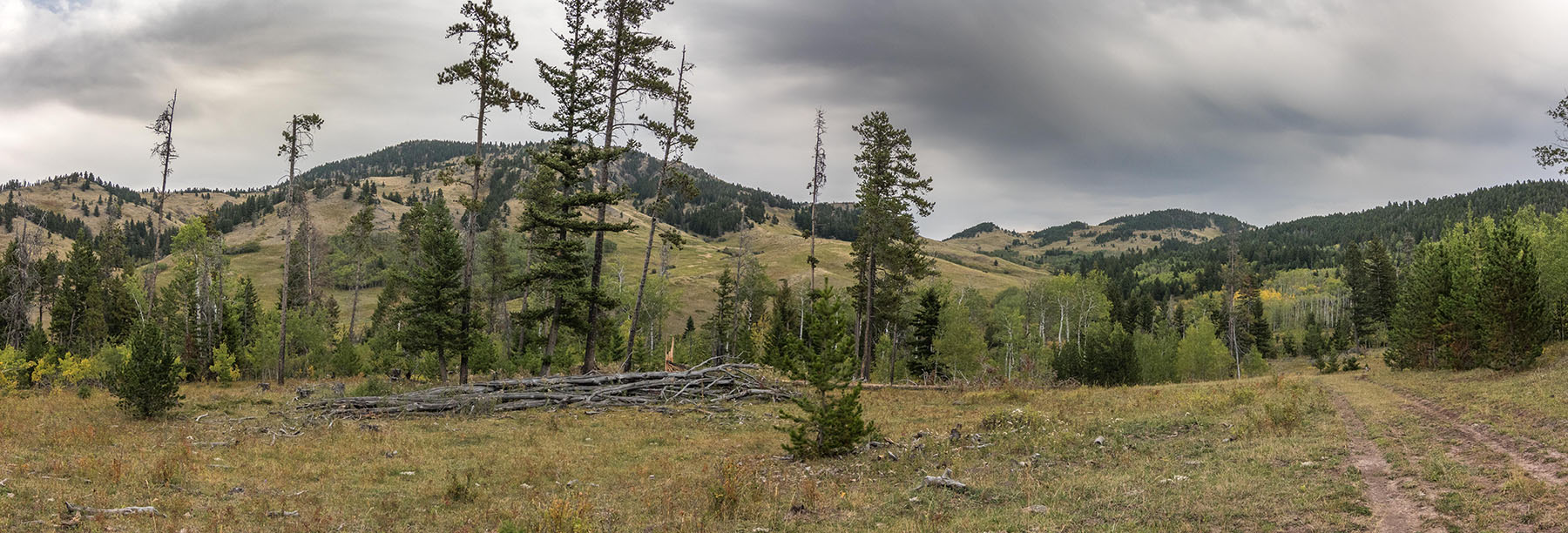 Postill Creek Ranch property picture 12 of 22