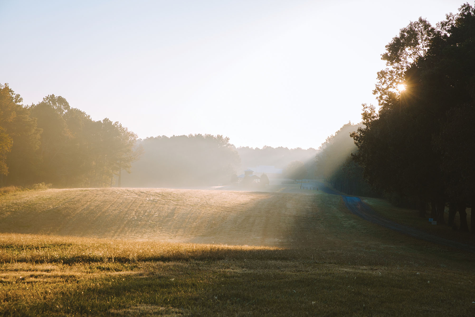 Fork Farm & Stables property picture 92 of 121