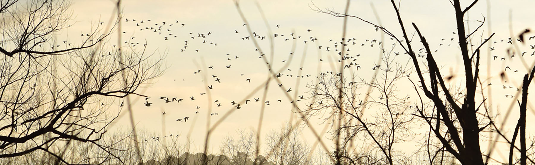 Fork Farm & Stables property picture 77 of 121