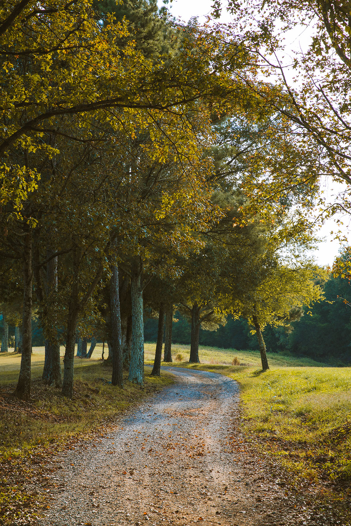 Fork Farm & Stables property picture 81 of 121