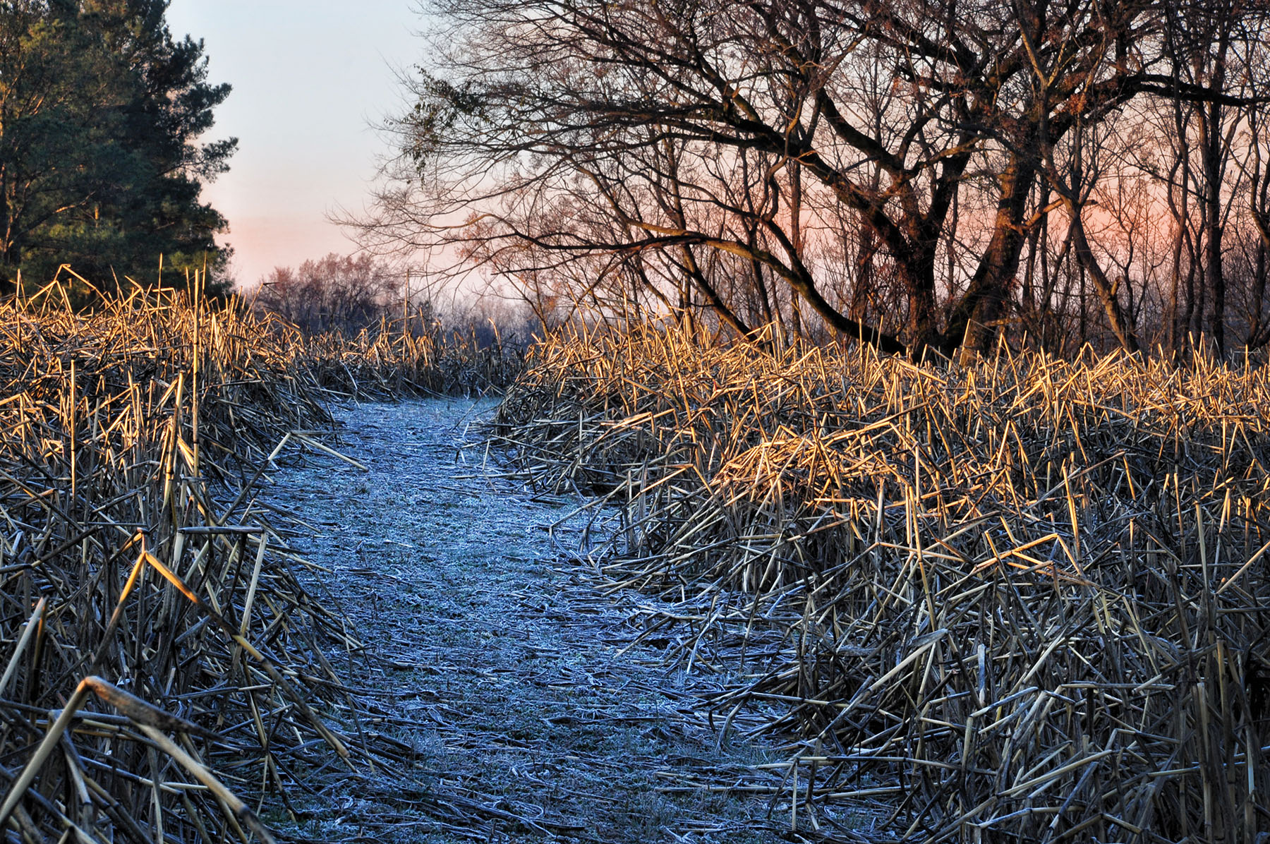 Fork Farm & Stables property picture 64 of 121