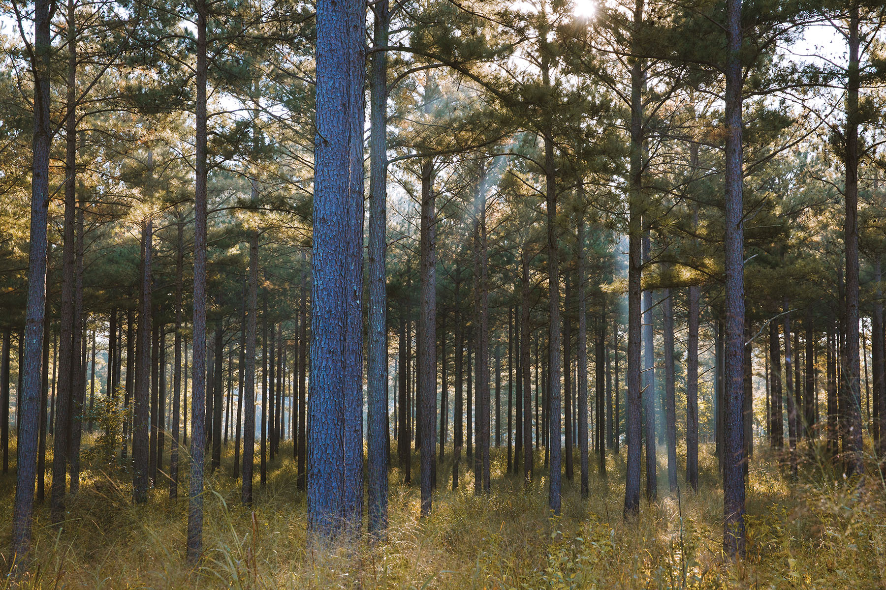 Fork Farm & Stables property picture 62 of 121