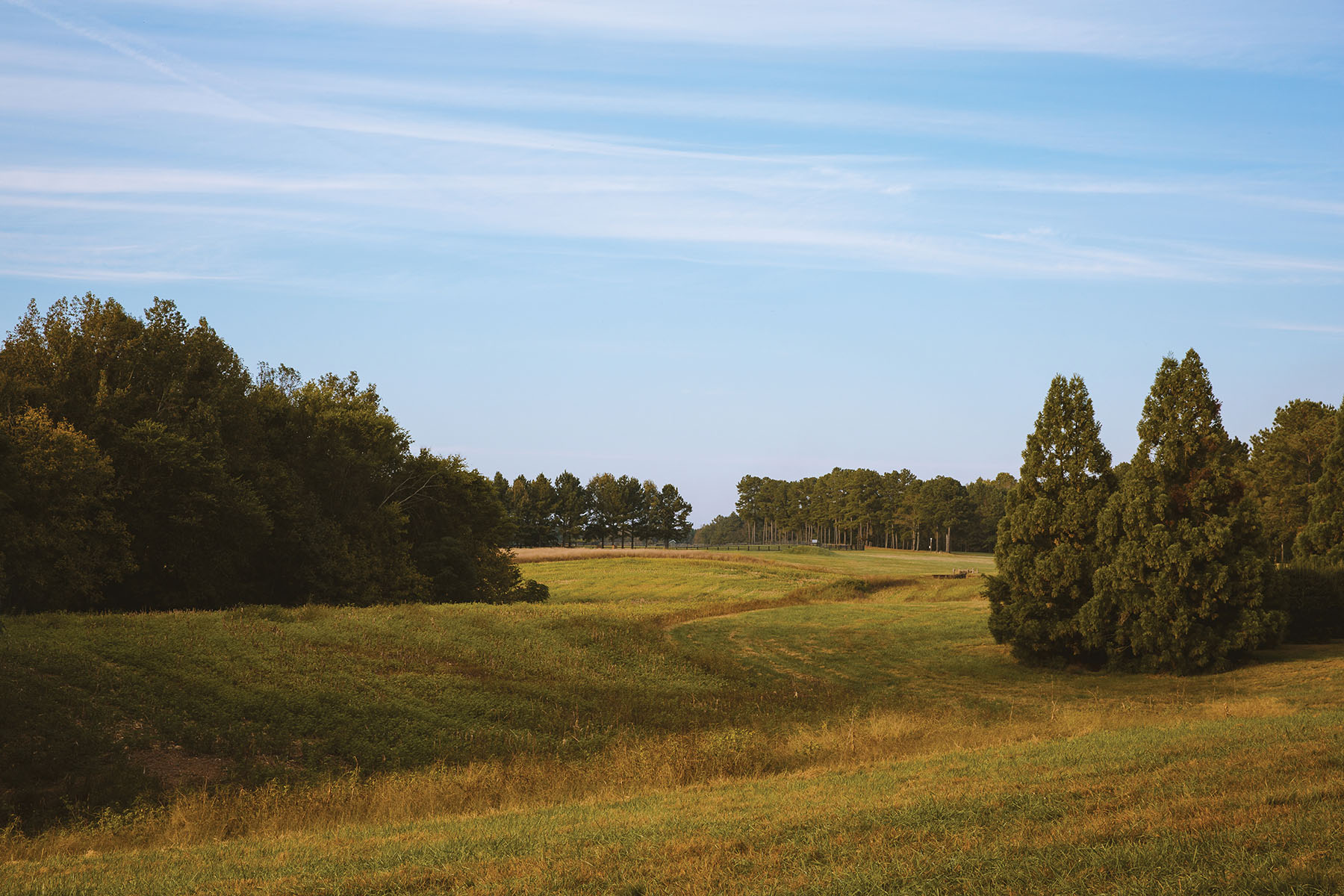 Fork Farm & Stables property picture 80 of 121
