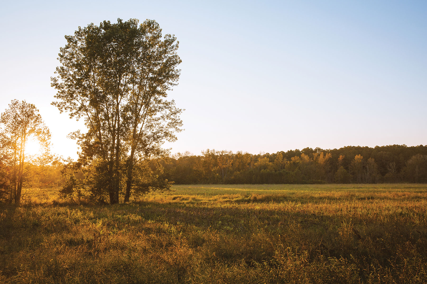Fork Farm & Stables property picture 79 of 121