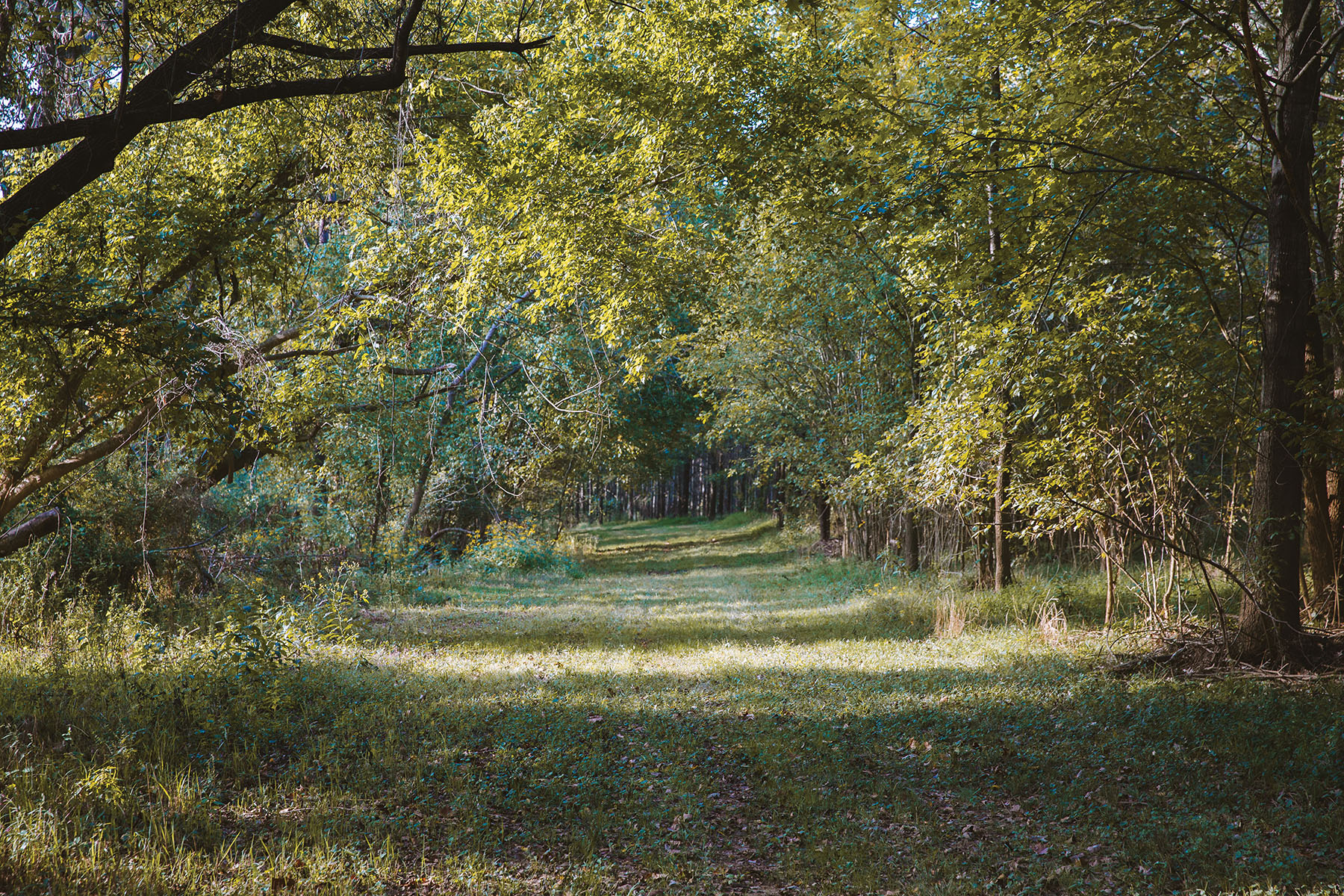 Fork Farm & Stables property picture 71 of 121