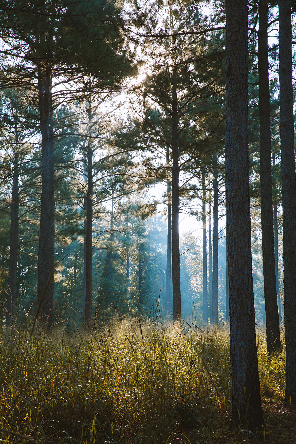Fork Farm & Stables property picture 61 of 121