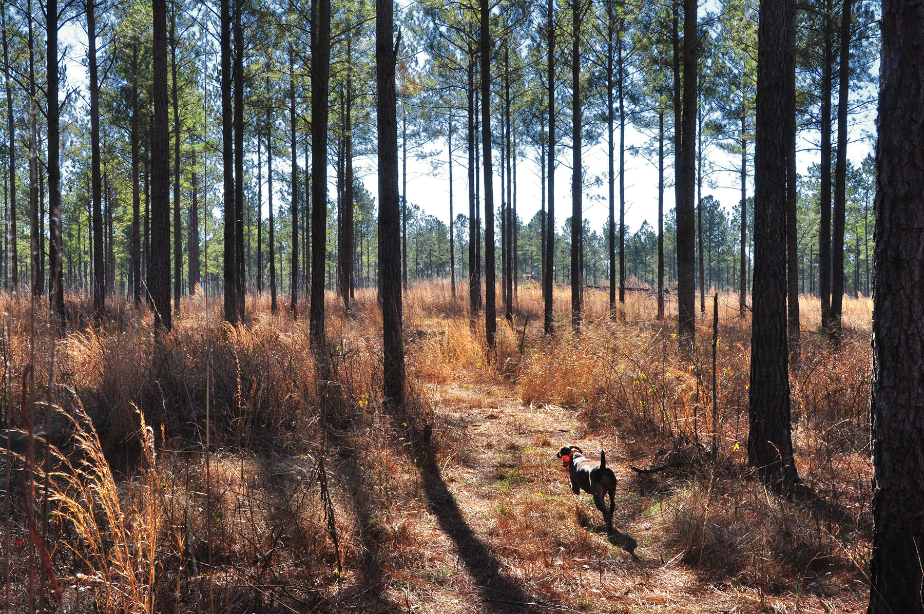 Fork Farm & Stables Hall and Hall