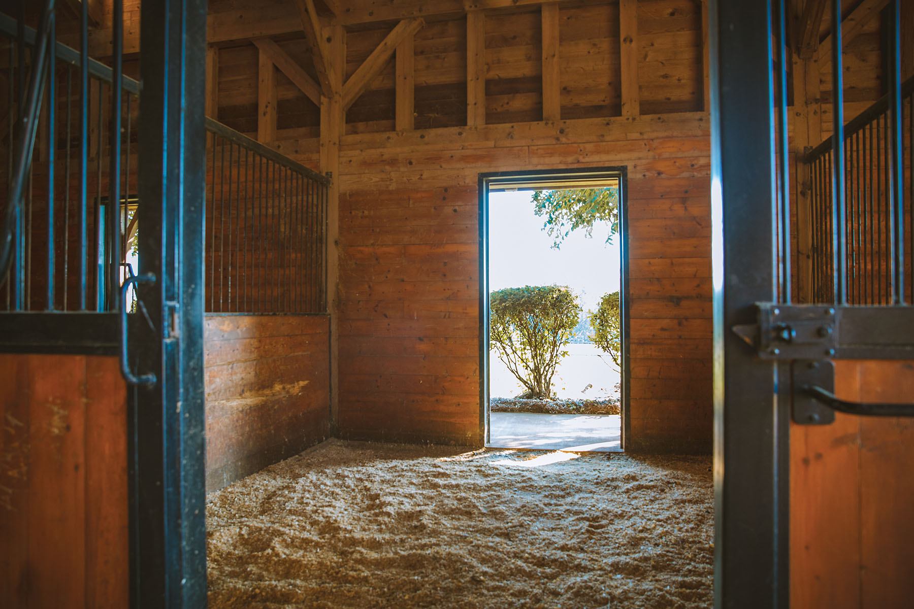 Fork Farm & Stables property picture 41 of 121