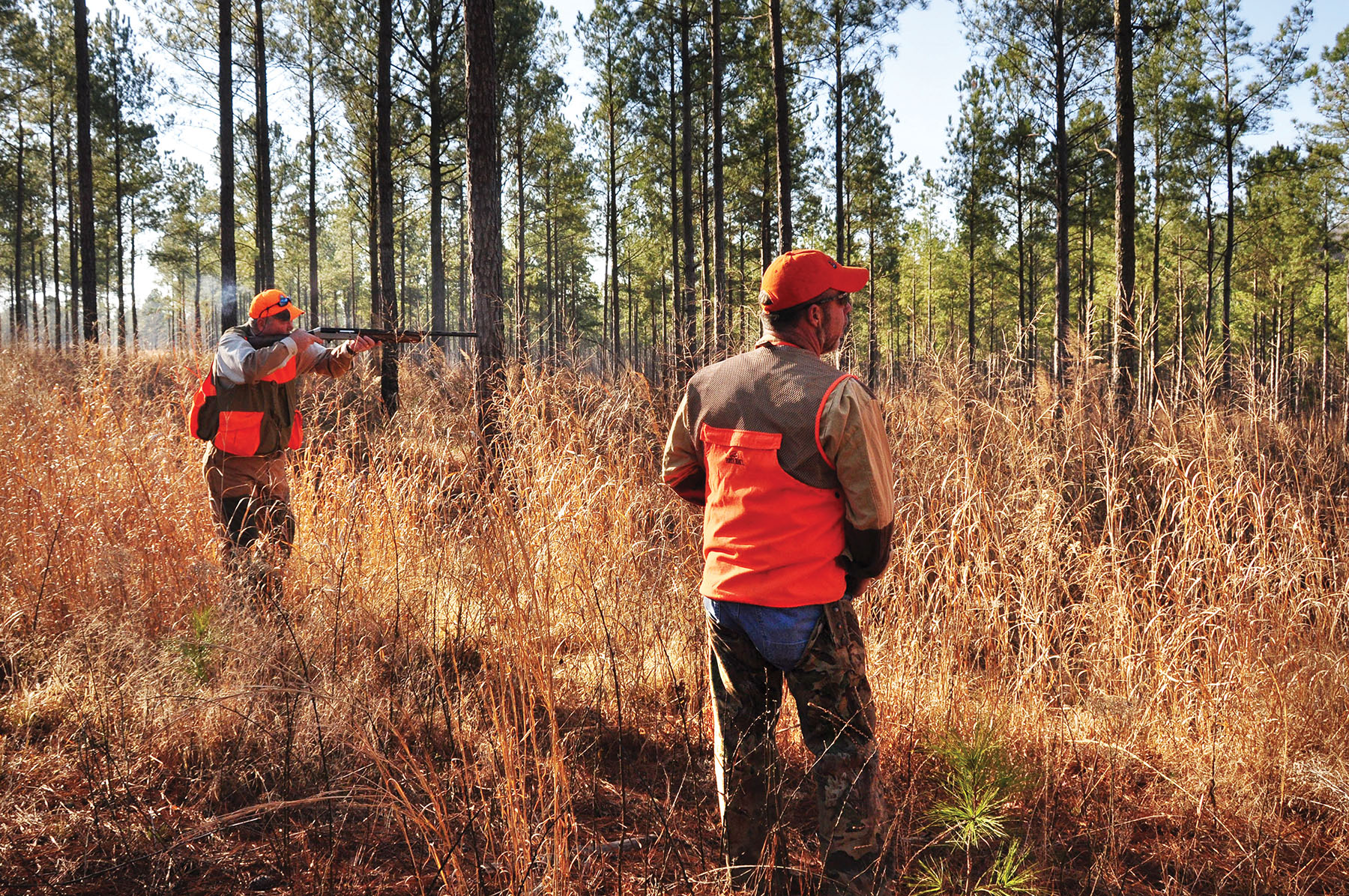 Fork Farm & Stables property picture 69 of 121