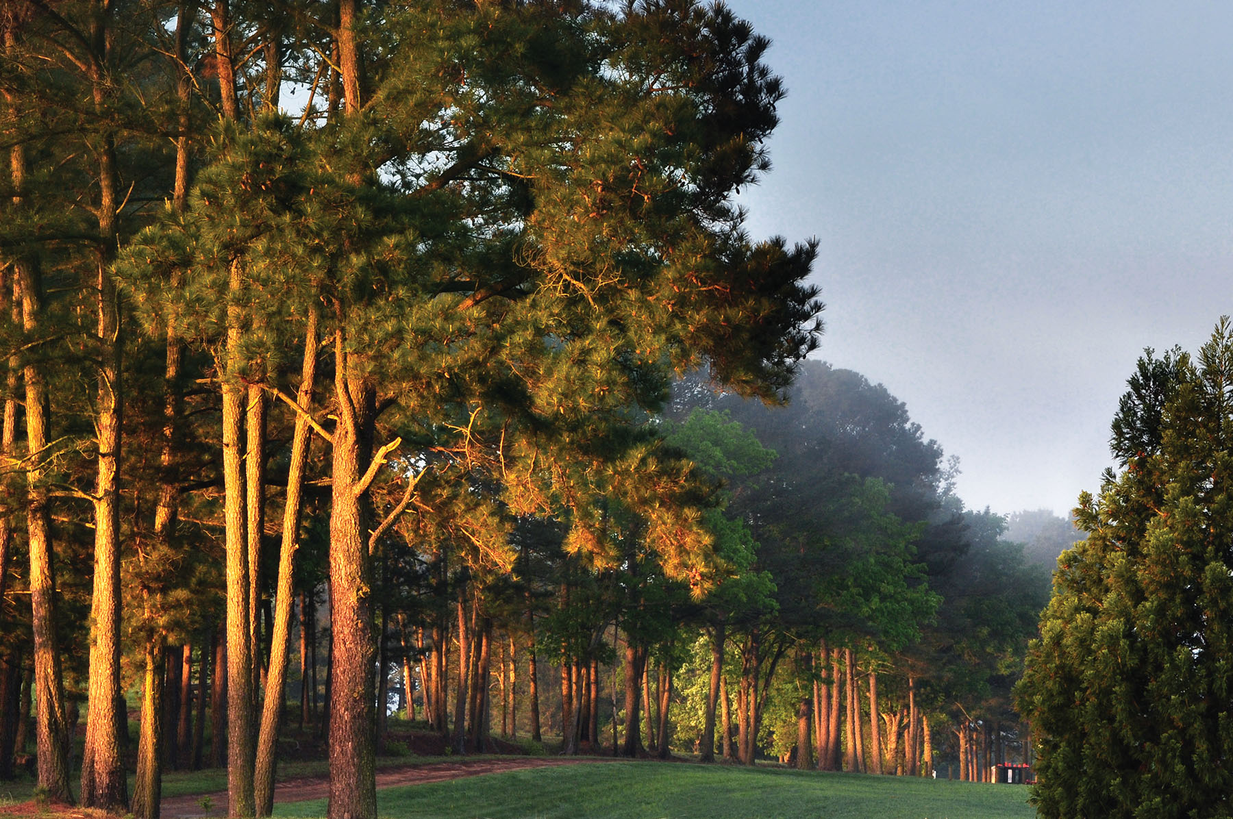 Fork Farm & Stables property picture 119 of 121