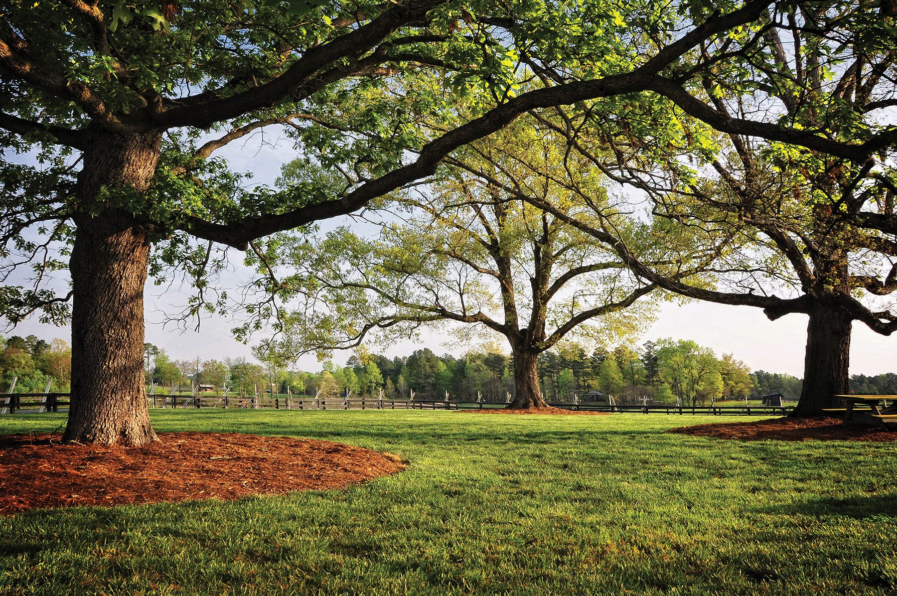 Fork Farm & Stables property picture 56 of 121