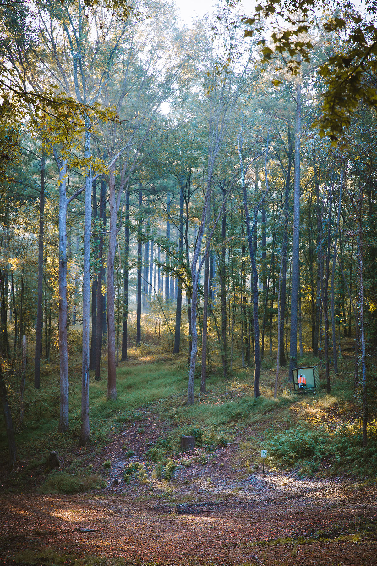 Fork Farm & Stables property picture 108 of 121