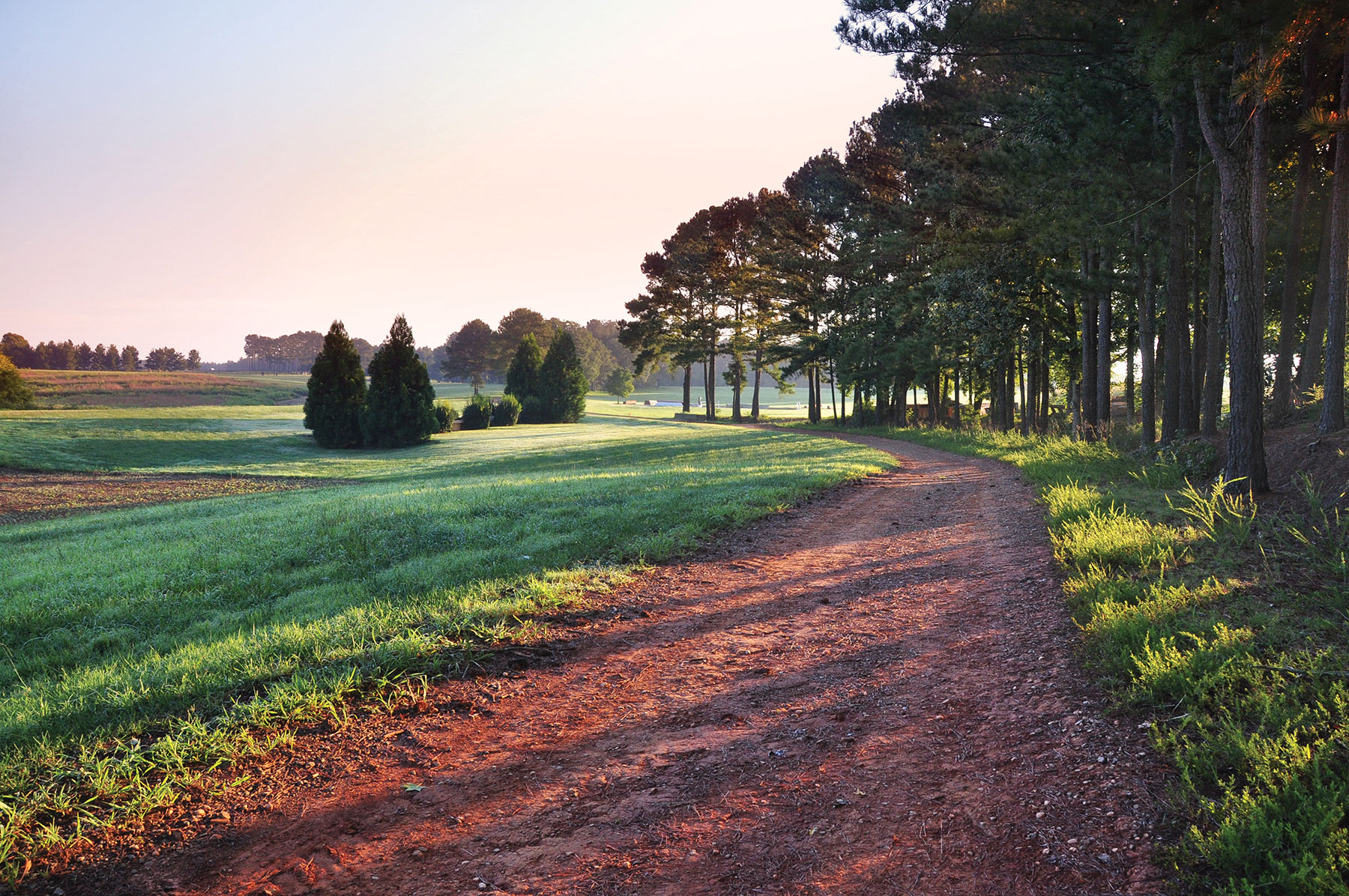 Fork Farm & Stables property picture 89 of 121