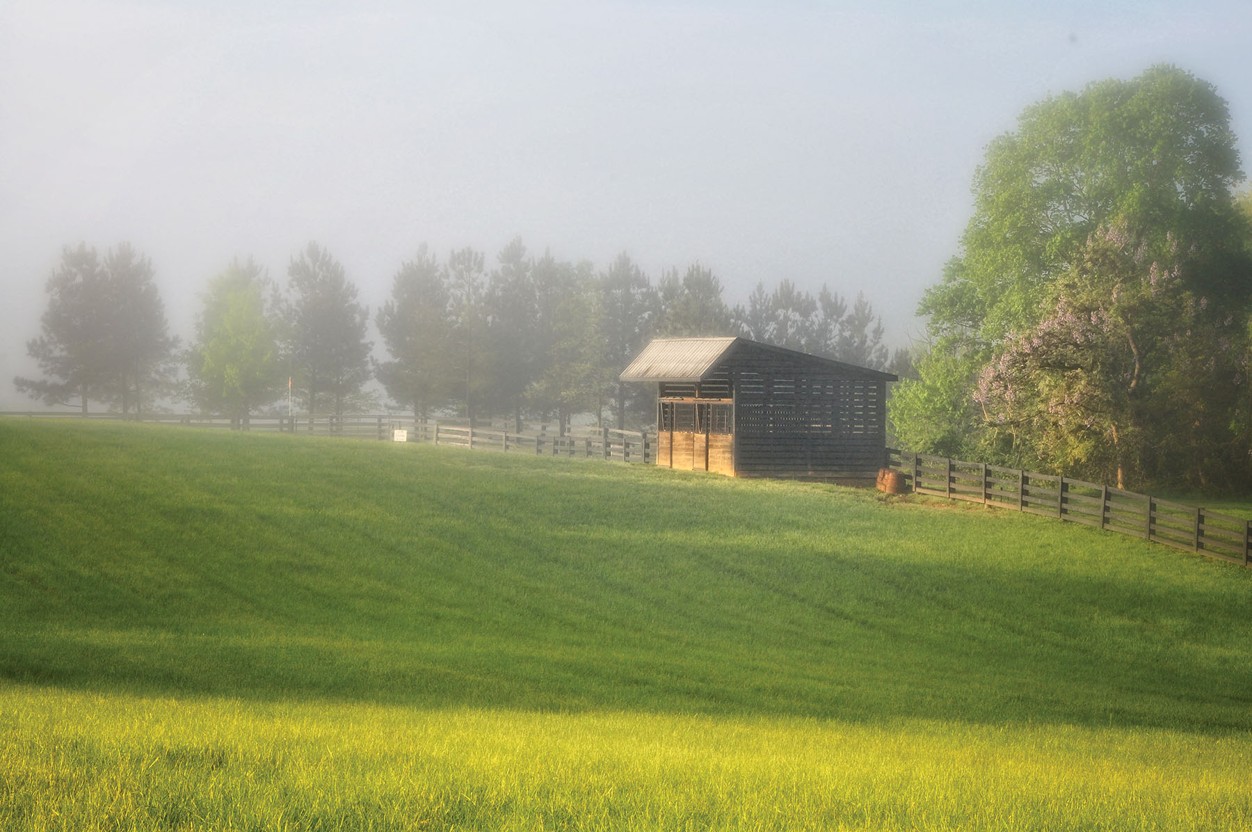 Fork Farm & Stables property picture 49 of 121