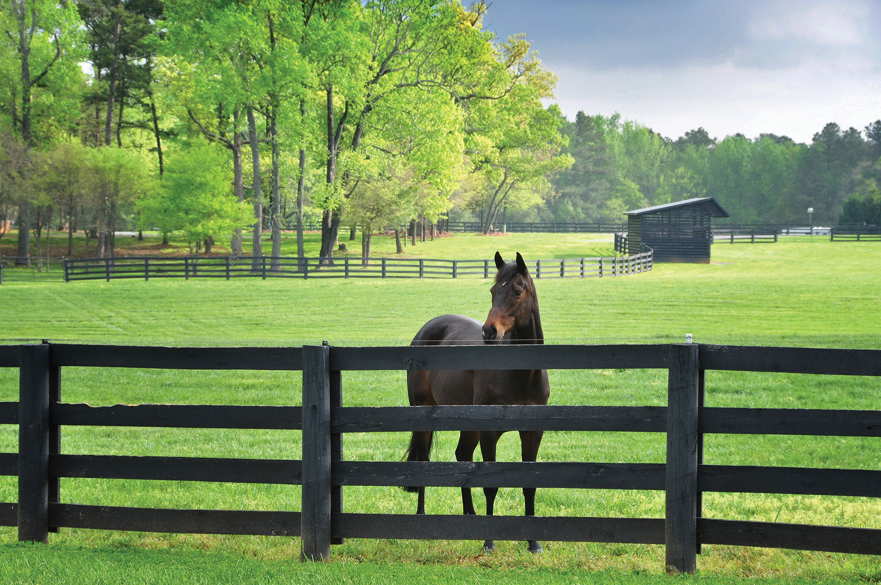 Fork Farm & Stables property picture 50 of 121