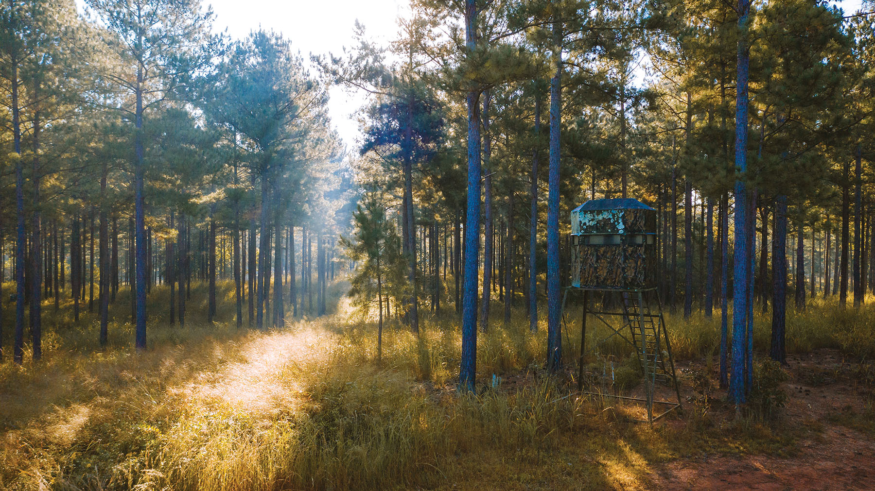 Fork Farm & Stables property picture 63 of 121